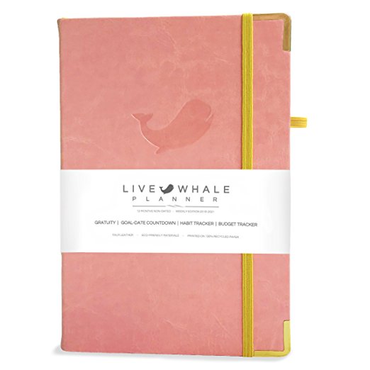 Live Whale Planner - Weekly Edition 2018-2021 Calendar - 1 Year Non Dated Day Agenda Journal - Increase Productivity & Success - 8.3 x 5.5” Leather Bound Office Personal Organizer