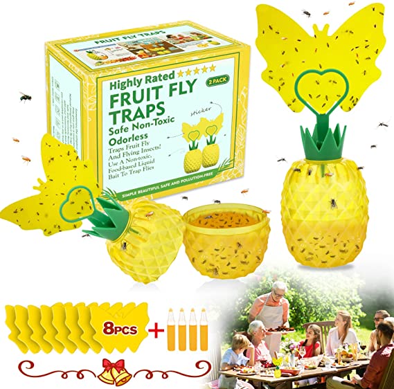 Fruit Fly Trap with Sticky Pads, Safe Yellow Sticky Gnat Killer Double Side Fruit Fly Traps, Effective Extremely Sticky Fly Catcher Insect Gnats Trap for Indoor/Outdoor/Kitchen (2 Pack )