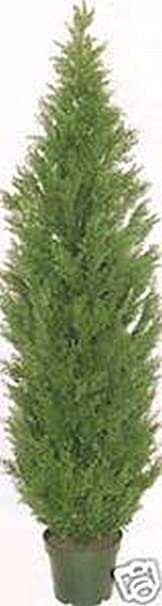 One 5 Foot Artificial Topiary Cedar Tree Potted Indoor Outdoor Plant by Silk Tree Warehouse