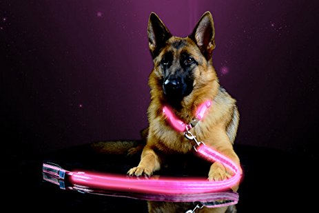 Premium LED Reflective Dog Leash, USB Rechargeable, Available in 6 colors