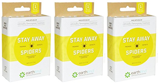 Stay Away Spiders (Pack of 3)