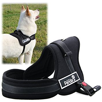 XCSOURCE Soft Padded Adjustable Pet Harness Vest for Cat or Dog Training or Walking Black M PS017