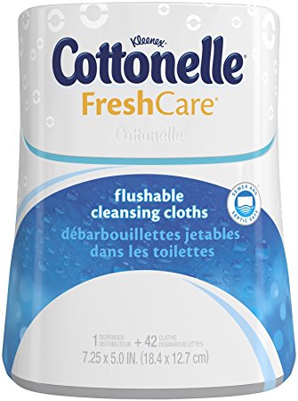 Cottonelle Fresh Care Moist Wipes Upright Dispenser   Flushable Wipes-42 ct