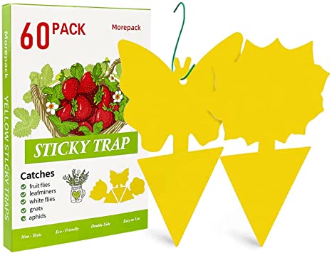 60 PCS Sticky Traps,Dual-Sided Sticky Fruit Fly Traps and Gnat Traps Yellow Sticky Bug Traps for Indoor / Outdoor, Fungus Gnats, Fruit Flies, Mosquitoes, White Flies,Flying Insects,Ant Traps With 30 PCS Twist Ties- Disposable Glue Trappers