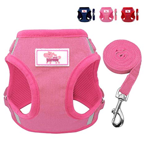 Beirui No Pull Reflective Dog Vest & Leash Set - Soft Harness for Small Medium Dogs & Cats - Comfort Step-in Mesh Padded Harness with 4ft Leash Pet Supplies,Pink.Red and Blue