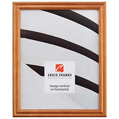 Craig Frames 200ASH 19 by 27-Inch Picture Frame, Wood Grain Finish, 0.75" Wide, Natural Brown