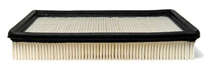 ACDelco A1096C Professional Air Filter