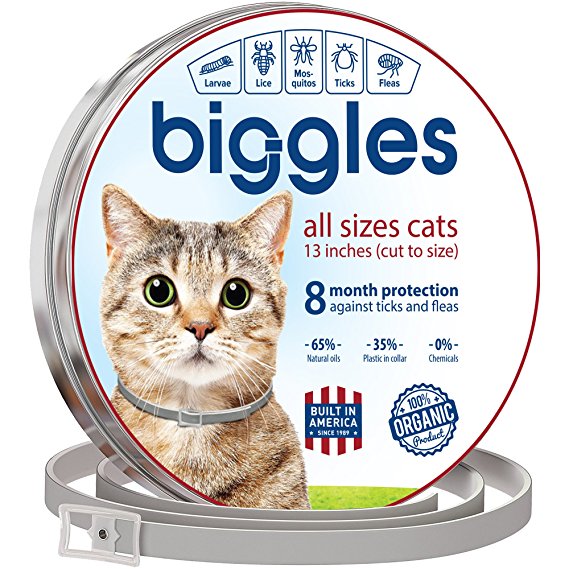 Biggles Cat collar