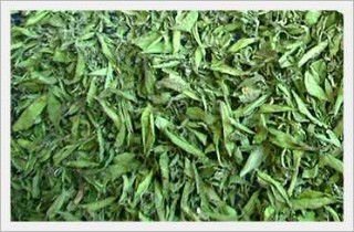 Stevia Leaf - Premium Hand-Picked Dried Leaf from Peruvian Amazon 75g