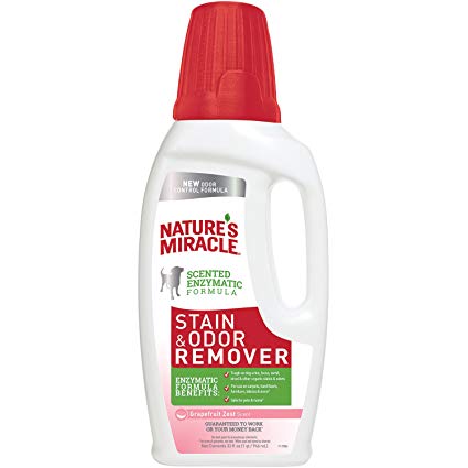 Nature’s Miracle Stain and Odor Remover Dog 32 Ounces, Odor Control Formula, Grapefruit Scent Pour Bottle