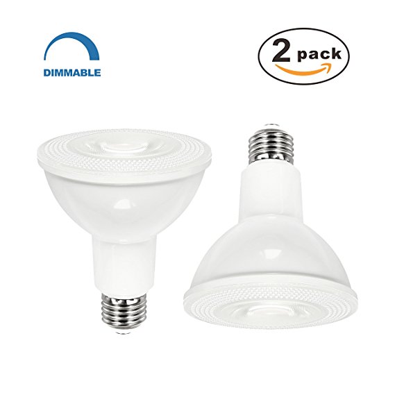 ANC PAR30 LED Flood Light Bulb Dimmable LED Bulbs 10W LED Spotlight Bulb (75W Equivalent),800 Lumens 6000K Cool White 40 Degree Beam Angle Spot Bulbs,Medium Base(E26) 2 Pack