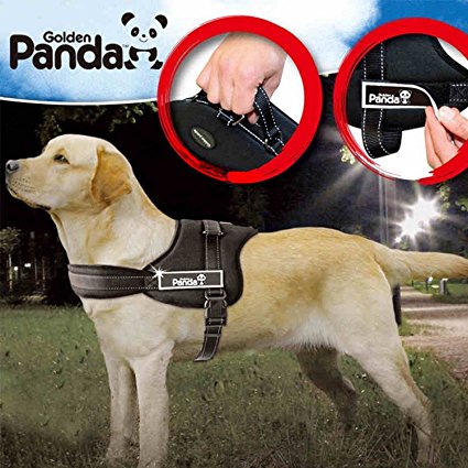 Dog Harness, PYRUS No Pull Harness Dog Leash Padded Pet Walking Harness Heavy Duty for Dogs
