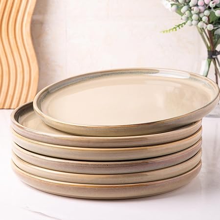 AmorArc Dinner Plates Set of 6, 10.5 Inch Reactive Glaze Ceramic Plates Set, Microwave, Dishwasher Safe, Scratch Resistant, Modern Large Dinnerware Dishes Set Kitchen Stoneware Plates