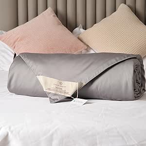 Tencel Silk Comforter, Eucalyptus Lyocell Tencel Shell with 100% Long-Strand Silk Filling, Cool to The Touch, All Season Duvet for Hot Sleepers (Gray, Queen)