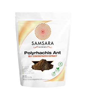 Polyrhachis Ant Extract Powder - 20:1 CONCENTRATED EXTRACT … (2oz)