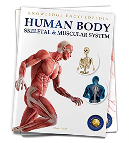 Human Body - Skeletal And Muscular System: Knowledge Encyclopedia For Children