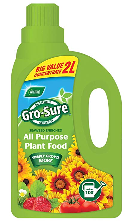 Gro-Sure Seaweed Enriched All Purpose Plant Food, 2 L, Transparent