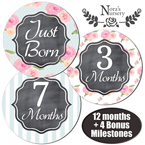 Baby Girl Monthly Stickers - Great Shower Gift or Scrapbook Photo Keepsake