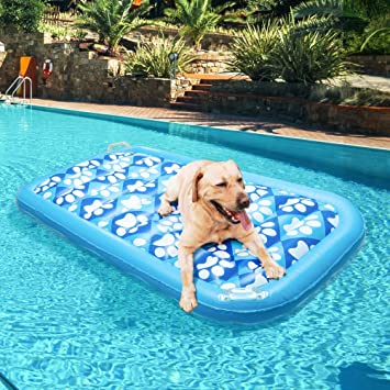 EXPAWLORER Inflatable Dog Pool Float - Ride On Pool Raft Toy for Pets Swiming Pool Games Floating Raft with Cute Paw Design for Large Dogs - 60 x 30 inch