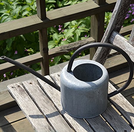 Layboo Retro Style Gorgeous Long Spout /Iron Watering Can Gardening Tool 1.7 L (old zinc color)