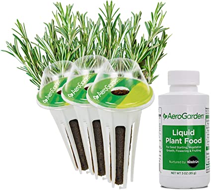 AeroGarden Rosemary Seed Pod Kit, 3, Green