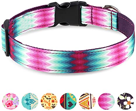 Taglory Unique Designer Soft Dog Collar, Western Collars for Puppy Small Medium Large Dogs