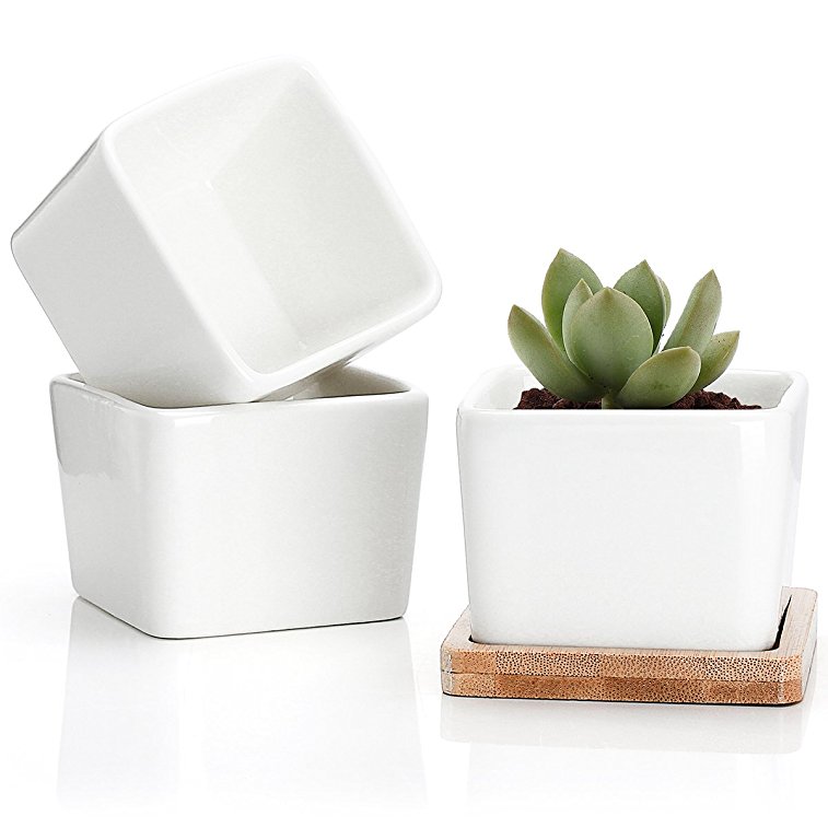 Greenaholics Succulent Plant Pots - 2.76 Inch Ceramic Small Square Planters, Cactus Plant Pots, Flower Pots with Drainage Hole, Bamboo Tray, Set of 3, White