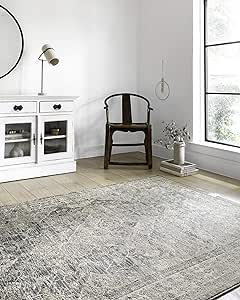 Loloi II Teagan Collection TEA-04 Sky / Natural 6'-7" x 9'-2", .25" Thick, Area Rug, Soft, Durable, Neutral, Woven, Low Pile, Non-Shedding, Easy Clean, Living Room Rug