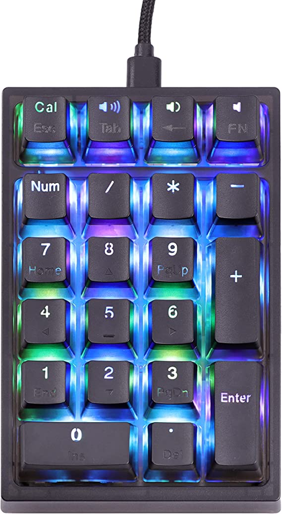 EPOMAKER K1 21 Keys Wired Numeric Keypad Number Pad with RGB Backlight, Translucent Doubleshot Pudding Keycaps, Shine Through Case for Win/Mac/Gamers