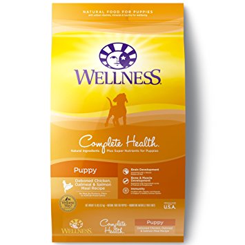 Wellness Complete Health Natural Dry Puppy Food, Chicken, Salmon & Oatmeal, 15-Pound Bag