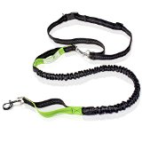 Paw Lifestyles Hands Free Dog Leash Premium Dual Handle Bungee Leash With Adjustable Waist Belt  For Running Walking Hiking  Reflective Stitching  Fits Up To 48 Waist