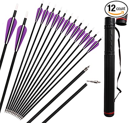 IRQ 32 Inch Archery Carbon Arrows for Recurve Bow, Arrows and Quiver Set Spine 400 with Removable Tips, Target Practice and Hunting Arrows for Compound Bow, 12 Pack Carbon Arrows Plus 1 Quiver