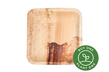 25 Heavy Duty Disposable and Home Compostable Party Plates made from Palm Leaf • 6 inch Square