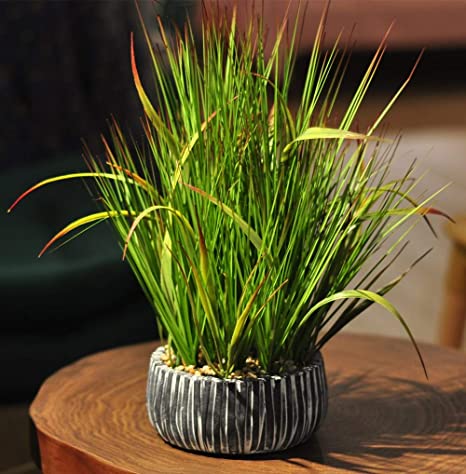 AlphaAcc Small Potted Artificial Grass Plant for Home Kitchen Office Desk Decoration Plastic Life Like Fake Green Plants
