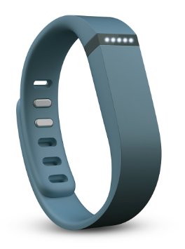 Fitbit Flex Wireless Activity  Sleep Wristband Slate