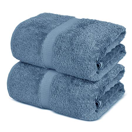 Luxury Super Soft Premium Cotton Bath Sheets, 700 GSM, 35 x 70 inches (Set of 2, Lake Blue)