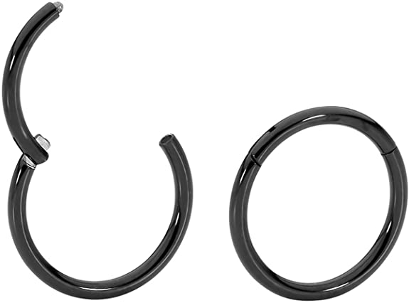 365 Sleepers 1 Pair Titanium 16G Hinged Segment Ring Hoop Sleeper Earrings Body Piercing 5mm / 6mm / 7mm / 8mm / 9mm / 10mm / 11mm / 12mm / 13mm / 14mm / 16mm