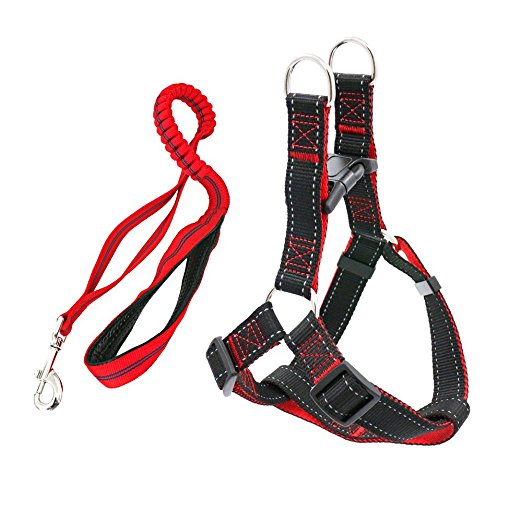Reflective dog bungee leash 2-handle wtih Step-in Dog Harness Set, Adjustable Size fits Large, Medium Large, Medium dogs. Best for Training, Walking, Hiking and Running