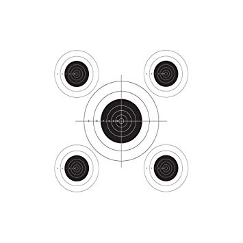 Champion Traps and Targets, B16 Pistol Slow Fire 25 Yard, (Per 100)