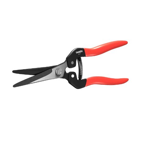 Long Straight Pruning Scissors, Go Multi-Tasking with Tabor K-7 Trimming and Harvesting Shears, Snippers for Flowers, Vegetables & Grapes. Order Today, and Enjoy Our 'Here for You' 12-Month Warranty!