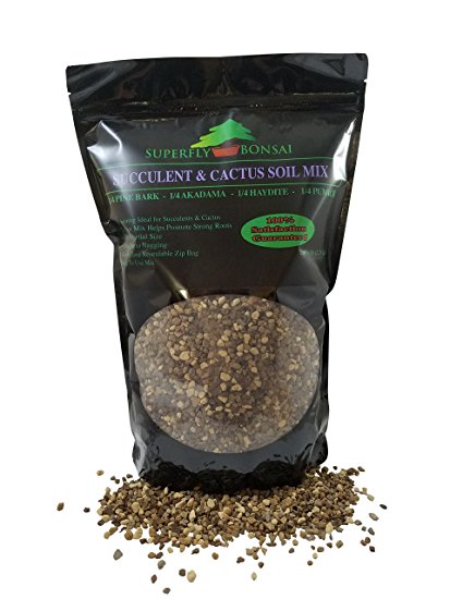 Succulent & Cactus Soil Mix - Premium Pre-Mixed Fast Draining Blend