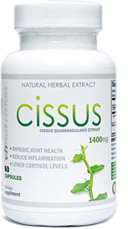 Cissus Quadrangularis Capsules | 1400mg per Serving | Bone and Joint Health Supplement | 30 Day Supply | VH Nutrition