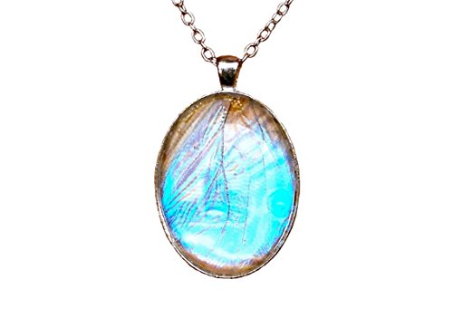 Real Pearl Morpho Butterfly Wing Necklace - Morpho Sulkowski Sulkowskyi Butterfly - White Opal Pendant - October Birthstone