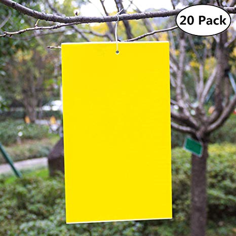 Elaziy 20 Pack Dual-Sided Yellow Sticky Traps for Flying Plant 6x8 Inches,Twist Ties Included