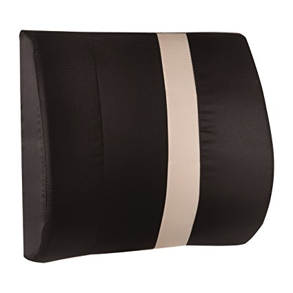 HealthSmart Vivi Relax-A-Bac Premium Lumbar Back Support Cushion Pillow with Insert and Strap, Black/Tan Stripe