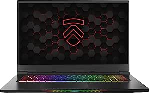 Eluktronics MAX-17 Covert Gamer QHD 165Hz Gaming Laptop PC: Liquid Metal Intel i7-10875H 8-Core NVIDIA GeForce RTX 3070 17.3" Calibrated Display Windows 10 Home 1TB PM991 NVMe SSD & 32GB DDR4 RAM