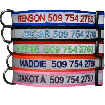 Embroidered Reflective Safety Personalized Dog Collar - Adjustable with Plastic Snap Closure