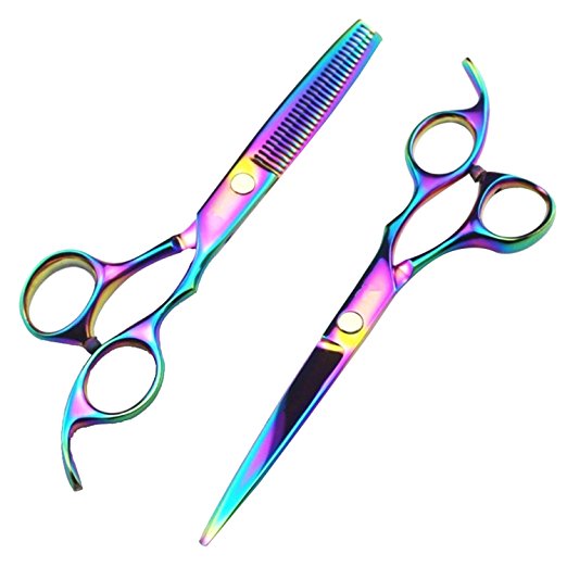 Passion Stainless Steel Professional Hair Cutting Scissors Precision 2-piece Barber Shears Thinning Set 6.0inch