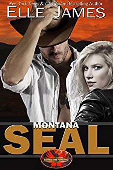 Montana SEAL (Brotherhood Protector Series Book 1)