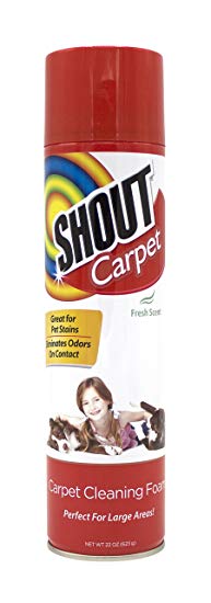 Shout Carpet Carpet Aerosol Carpet Cleaning Foam with Oxy | Pet Stain Remover for Carpet   Odor Eliminator, Pack of 2